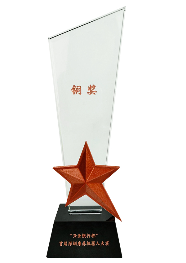 首届深圳康养机器人大赛铜奖