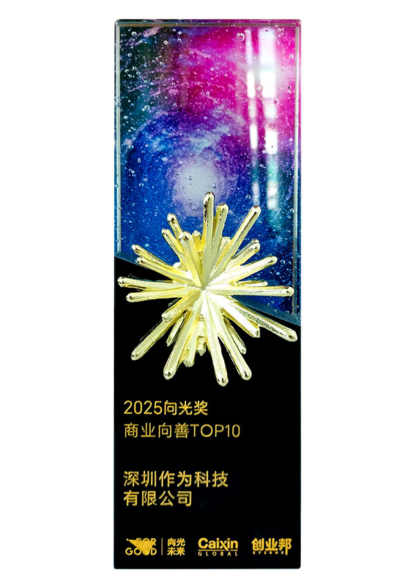 2025向光奖商业向善TOP10