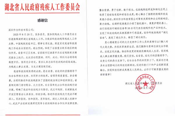 科技助残丨国务委员谌贻琴调研湖北残疾人工作，作为科技获高度认可