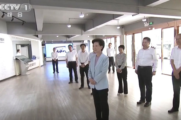 科技助残丨国务委员谌贻琴调研湖北残疾人工作，作为科技获高度认可